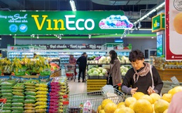 VinEco - 14 nông trường rau sạch và hệ thống phòng lab triệu đô trải khắp Việt Nam: "Quân bài tẩy" trong liên minh bán lẻ của Masan - Vingroup?