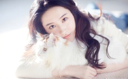 Trung Quốc: Thà nuôi chó mèo còn hơn kết hôn