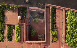 Vườn rau 7 bậc thang xanh tươi trên mái nhà của vợ chồng trung niên được các con xây tặng ở Quảng Ngãi