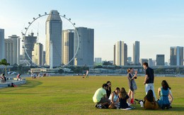 Từ 50 năm trước, người Singapore đã làm gì để trở thành đô thị xanh, sạch nhất châu Á?