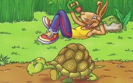 Người thông minh biết làm rùa "chậm mà chắc", kẻ tham lam cả đời chỉ là thỏ thất bại: Đây là lí do vì sao bạn không nên đặt mục tiêu cho năm mới!
