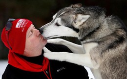 Khoa học chứng minh: Mất chó còn đau hơn mất người yêu