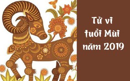 Chi tiết tử vi tuổi Mùi năm 2019: Thời cơ chín muồi, kinh doanh phát tài, thành tựu rực rỡ