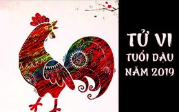 Chi tiết tử vi tuổi Dậu năm 2019: Vận khí hanh thông gấp nhiều lần; càng bền bỉ đến cùng, càng gặt quả ngọt ít người sánh kịp