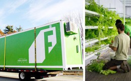 Freight Farms và công nghệ trồng rau tương lai: Không đất, không hóa chất, bất chấp thời tiết, hiệu quả gấp 80 lần và thu về 39.000 USD mỗi container