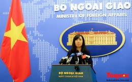 Người phát ngôn Bộ Ngoại giao thông tin về sức khỏe Tổng Bí thư, Chủ tịch nước Nguyễn Phú Trọng
