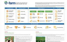 Lần đầu tiên ở Việt Nam, ra mắt mô hình dịch vụ hỗ trợ nông dân khép kín: từ khâu chuẩn bị đất, cây giống đến thu hoạch đều được kiểm soát bằng AI