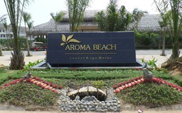 TripAdvisor khóa đánh giá của Aroma Resort vì cho rằng các đánh giá này "không phản ánh trải nghiệm trực tiếp"