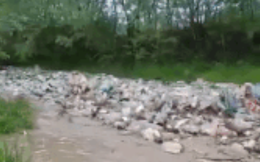 Đoạn video khiến ai cũng phải hoảng sợ về tương lai của Trái đất: Một trận lũ toàn rác là rác