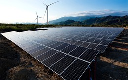 Ninh Thuận quyết tâm trở thành trung tâm năng lượng tái tạo của cả nước