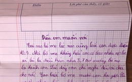 Cậu bé lớp 4 viết thư phản đối áp lực điểm 10 khiến cha mẹ lặng người