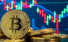 Giá Bitcoin trong nước chạm mốc 255 triệu đồng