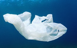 Cuộc cách mạng môi trường được thế giới mong chờ: Nhựa sẽ có thể được tái chế thành CO2 và nước
