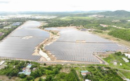 Ngành điện mặt trời của Điện Gia Lai chiếm 12% thị phần cả nước