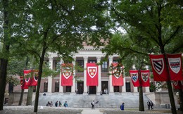 Là sinh viên Harvard có hào nhoáng và hoành tráng như bạn vẫn nghĩ ?