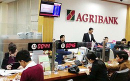 Chuẩn bị cổ phần hóa, Agribank báo lãi đột biến 8.200 tỷ đồng 7 tháng đầu năm 2019