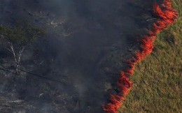 8,2 tỷ USD đang có nguy cơ cháy rụi cùng rừng Amazon
