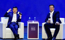 Elon Musk trò chuyện cùng Jack Ma: 'Loài người chỉ như con tinh tinh so với AI'