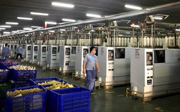 Bên trong doanh nghiệp có cổ phiếu giảm sàn 26 phiên liên tiếp