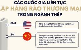 Chuyện ngành thép 2018: Sự trỗi dậy của làn sóng bảo hộ thương mại