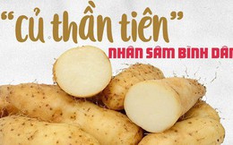 Loại khoai dân dã được Đông y gọi là "củ thần tiên", "nhân sâm bình dân": Tốt thế nào?