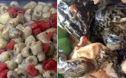 Dưa hấu xào chuối, da ếch... những món ăn kinh dị nhất ở canteen các trường ĐH Trung Quốc khiến sinh viên khiếp đảm