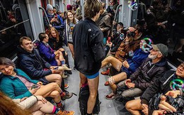 Hàng trăm người London nô nức rủ nhau không mặc quần đi tàu điện ngầm