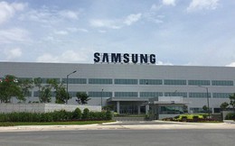 Chủ tịch tỉnh Thái Nguyên: Xem Samsung là ong chúa để ứng xử!