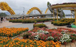 Cầu Vàng "đọ dáng" cầu Rồng ở đường hoa bên bờ sông Hàn