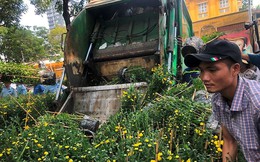 Tiểu thương vứt hàng trăm chậu hoa ế vào xe rác vì sợ 'hôi của'