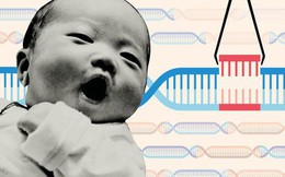 Tiếp tục hé lộ nhiều bí ẩn trong nghiên cứu chỉnh sửa gen người: Nó có được tài trợ bởi chính phủ Trung Quốc?