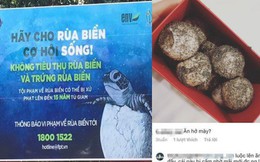 Cô gái bị tố mua trứng rùa biển rồi luộc ăn, không quên khoe trên Instagram khi du lịch Côn Đảo khiến nhiều người phẫn nộ