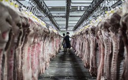 Trung Quốc có thể nhập khẩu thịt lợn Mỹ nhiều kỷ lục trong 2019