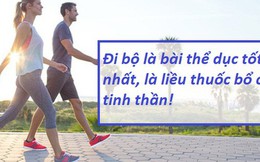 Chuyên gia khẳng định đi bộ là bài tập tốt nhất cho cả sức khỏe và tâm trí: Mỗi bước chân là liều thuốc bổ giúp bạn hạnh phúc hơn, năng động, khỏe mạnh hơn