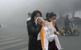 TS Việt tại Mỹ chỉ ra những con số chết người từ ô nhiễm không khí ở Việt Nam