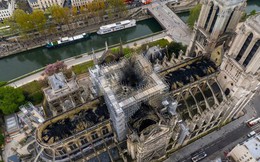 Nước Pháp không còn cây gỗ đủ cao để phục chế mái nhà thờ Đức Bà