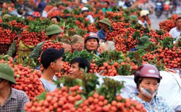 Chính sách thắt chặt nhập khẩu từ Việt Nam của Trung Quốc và lý do có thể ẩn chứa đằng sau