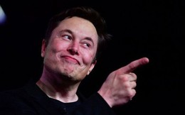 Mạnh miệng khoe Tesla làm chip giỏi hơn Nvidia, nhưng không ai tin lời Elon Musk