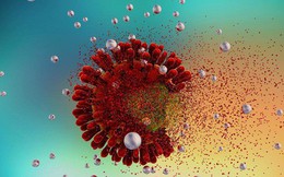 Hồi kết của đại dịch HIV/AIDS đã ở trước mắt: Nghiên cứu xác nhận tỷ lệ truyền nhiễm 0% ở bệnh nhân uống thuốc ARV