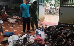 Chân bò, nội tạng gia súc nhập lậu về Hà Nội bán cho quán ăn giá... 6.000 - 11.000 đồng/kg