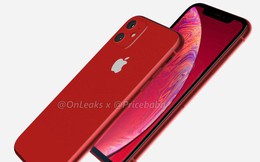 iPhone XR (2019) sẽ có thay đổi về màu sắc, camera kép phía sau