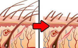 9 sự thật chúng ta ai cũng tin từ bé nhưng hóa ra lại sai be bét