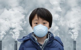 Tiết lộ mới gây “sốc”: Ô nhiễm không khí có thể gây tổn hại đến mọi cơ quan trong cơ thể, từ đầu đến chân không sót một cơ quan nào!