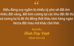 Phát ngôn làm nóng nghị trường: Nhiều tỷ phú ôm đất vàng, đất kim cương để chờ thời!