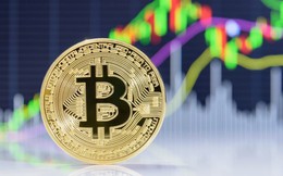 Bitcoin đang bị thổi phồng quá mức?