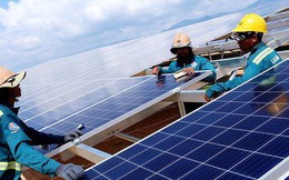 Phó TGĐ EVN: Việt Nam có thể trở thành cường quốc điện mặt trời trong thời gian rất ngắn!