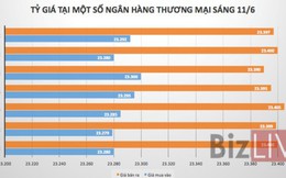 Các ngân hàng thương mại đồng loạt giảm mạnh giá USD