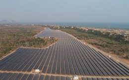 Nhà máy Điện mặt trời Mũi Né do Dragon Capital đầu tư chính thức được vận hành