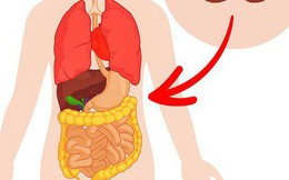 10 cách ăn uống bất kỳ ai cũng nên áp dụng sau 40 tuổi: Đừng bỏ lỡ thông tin quý giá