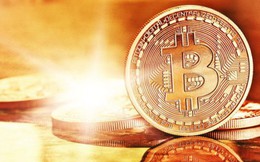 Bitcoin từ 'đáy' đang hồi sinh